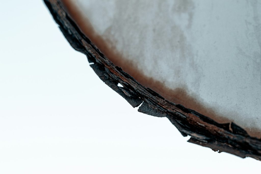 Payment Security for Coconut Bowl Imports