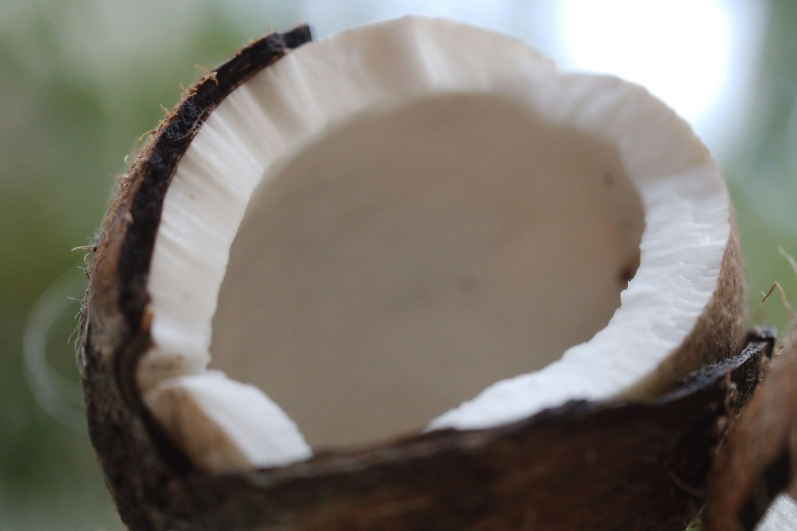 A close up of a half eaten coconut