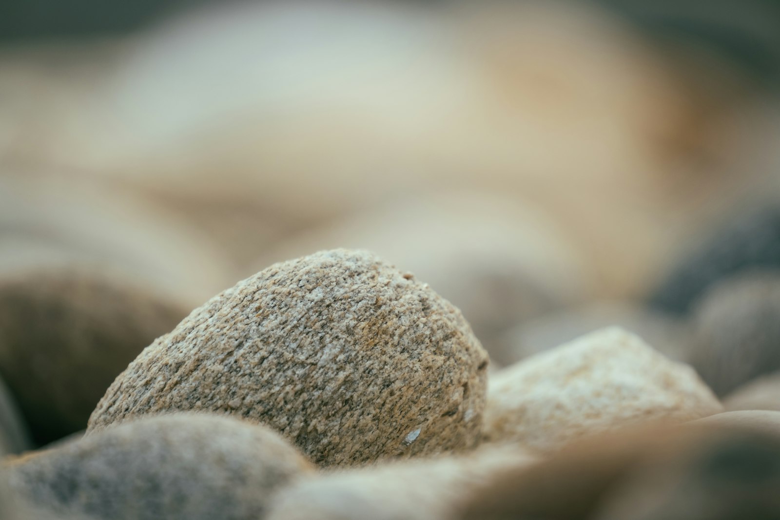 a close up of a rock with a blurry background