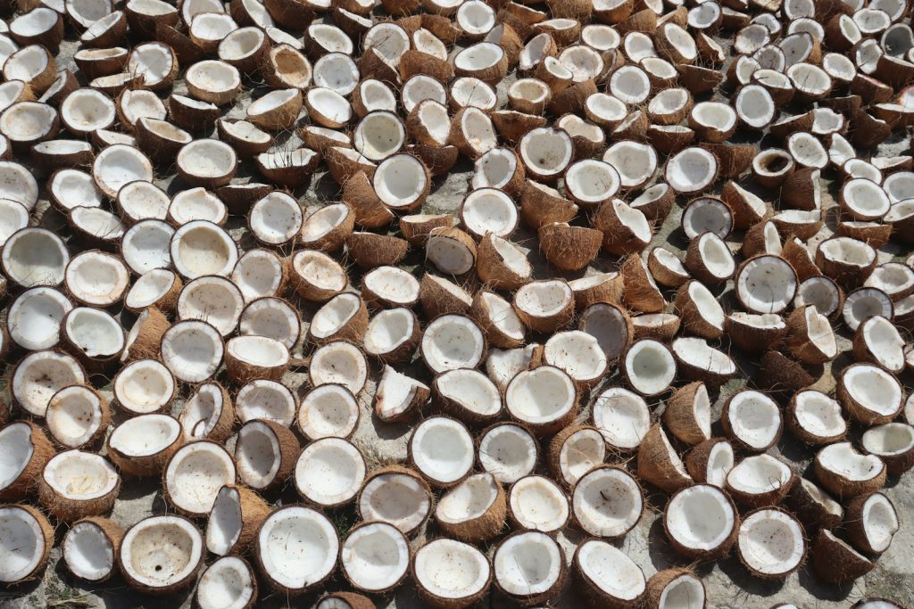 Coconut Bowls vs Bamboo & Wooden Bowls Compared