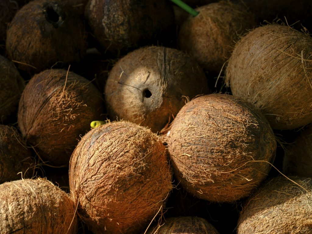 Coconut Bowls Supplier FAQ | Buyer Questions