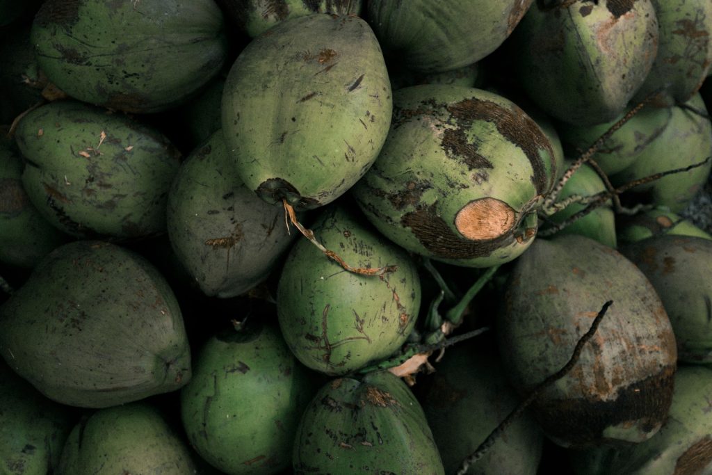 Indonesia vs Vietnam Coconut Bowl Sourcing