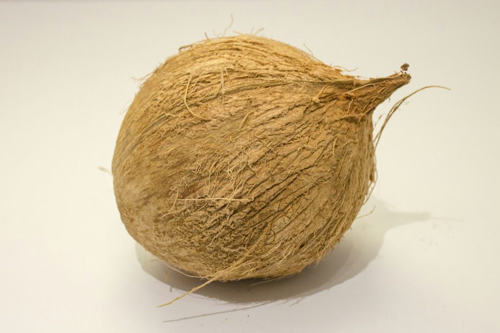 Coconut Bowl Production Lead Times & Capacity