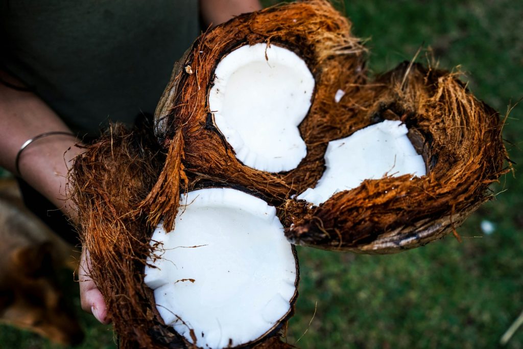 Coconut Bowl Packaging & Retail Branding Options